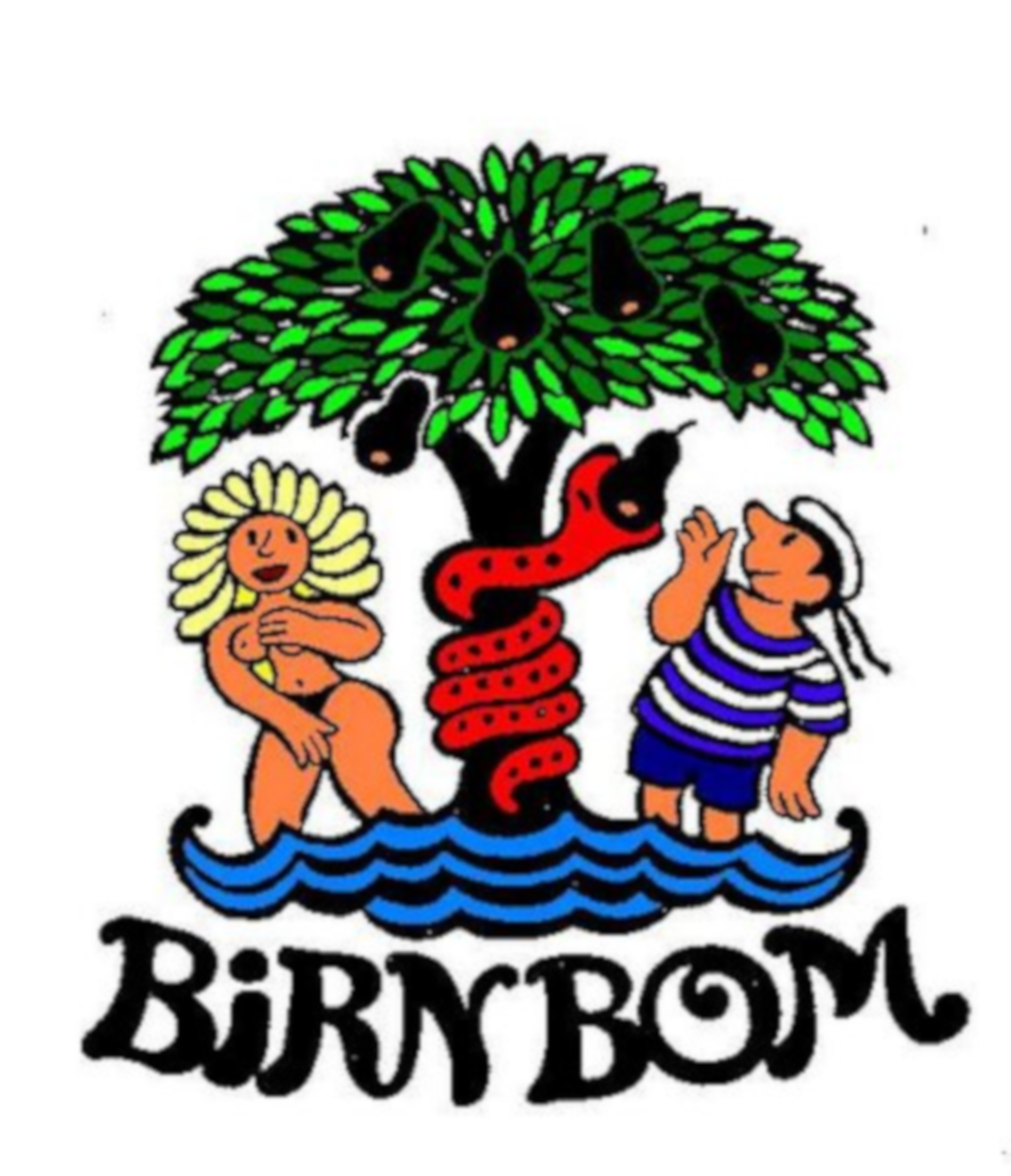 www.birnbom.de logo